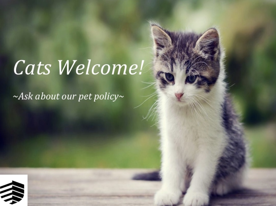 Cat Friendly Community - East Hillsdale Apartments