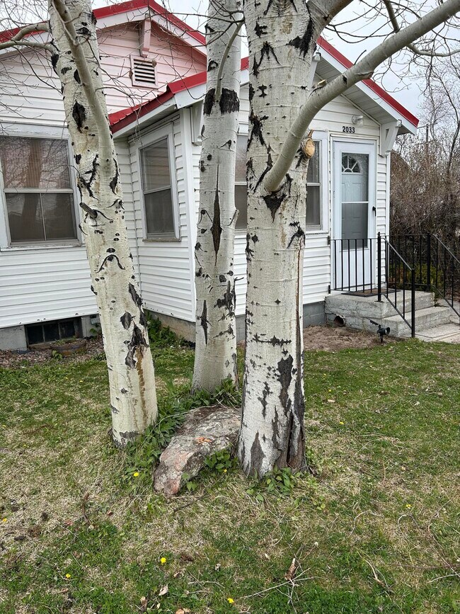 2033 Elm St, Butte, MT 59701 House Rental in Butte, MT