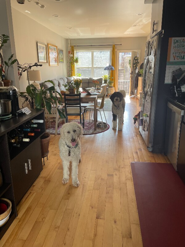 Foto del edificio - 527 Titan St