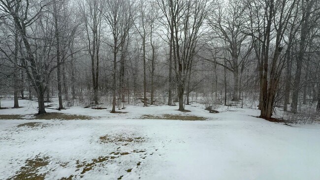 Foto del edificio - 2bed 1.5 Bath