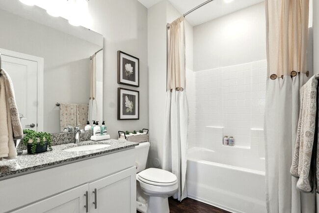 Building Photo - The View at Paris Mountain