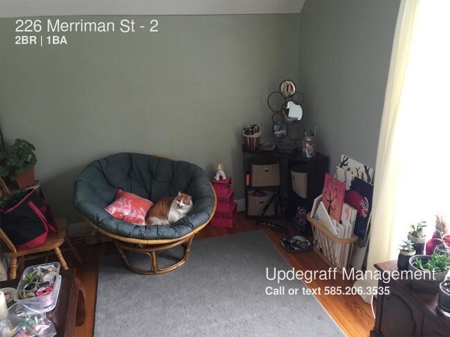 Building Photo - 226 Merriman St