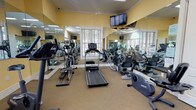 This fitness center in Ypsilanti, Michigan offers a thoughtfully organized workout environment designed to support a full range of exercise routines. The space is divided into distinct functional zones, seamlessly connected within a single open floor plan. Large floor-to-ceiling mirrors line the walls throughout, visually expanding the room and allowing users to monitor their form during workouts.

The cardio area is well-stocked with treadmills, elliptical trainers, and recumbent bikes from Precor, a reputable fitness equipment brand. Wall-mounted flat-screen televisions are positioned for easy viewing from the cardio machines, enhancing the workout experience. Natural light pours in through large windows fitted with elegant arched transoms and wood-tone blinds, lending the space a warm, inviting ambiance complemented by soft yellow walls and crown molding.

The strength training section features a multi-function cable machine, a dedicated dumbbell rack with a full range of free weights, and an adjustable workout bench. A separate area includes a barbell rack loaded with weight plates alongside a flat bench, ideal for compound lifting. Additional cable and resistance machines round out the strength offerings.

The flooring throughout is a durable, cushioned surface suited for fitness use. The overall design strikes a balance between functionality and refined aesthetic, creating a comfortable and motivating environment for daily exercise.