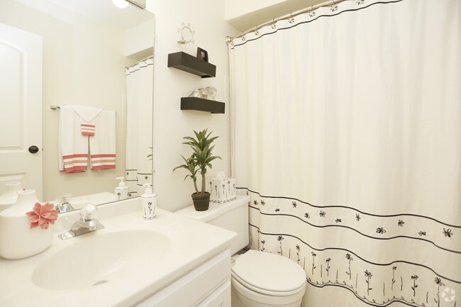 Interior Photo - Sutton Club Apartments