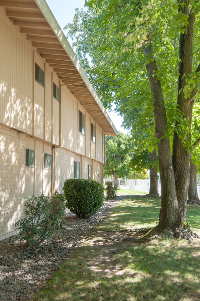 Building Photo - Spartan Oaks Apartments