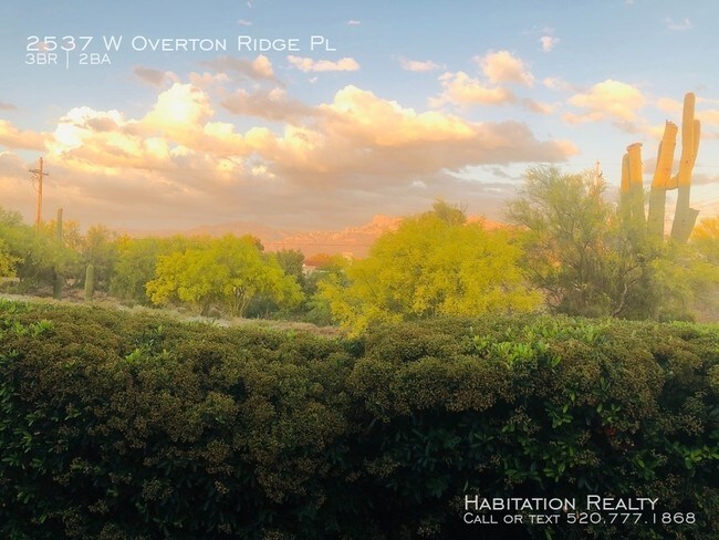 Building Photo - 2537 W Overton Ridge Pl