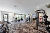 This fitness center is organized across two connected exercise rooms, offering a thorough and well-rounded workout environment. The space is finished with a distinctive geometric patterned carpet that adds a modern aesthetic throughout, while white walls and recessed lighting create a clean, bright atmosphere. Ceiling-mounted fans provide additional ventilation and comfort during workouts.

The strength training area is comprehensively appointed with a power rack loaded with weight plates, a multi-station cable machine, a dedicated dumbbell rack with a full range of weights, kettlebells, adjustable benches, and a set of resistance medicine balls. A wall-mounted mirror expands the sense of space and allows for form checks during exercise.

The cardio section is equally well-equipped, featuring multiple treadmills, a stair climber, an elliptical trainer, and a recumbent exercise bike — all positioned facing large windows that let in natural light and offer views of the surrounding greenery. A flat-screen television is mounted on the wall nearby for entertainment during workouts. The facility also includes a small storage unit and direct access to an outdoor area through a glass door, adding convenience and connectivity to the overall experience.