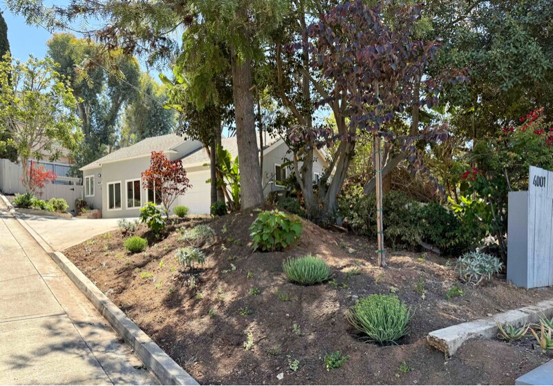 Foto principal - 4001 Massachusetts Ave