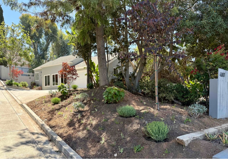 Primary Photo - 4001 Massachusetts Ave