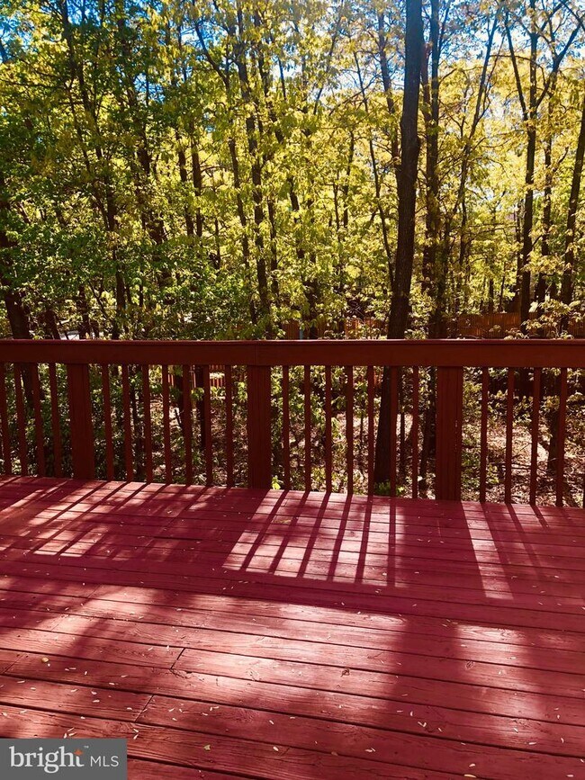 Building Photo - 7905 Della Rosa Ct