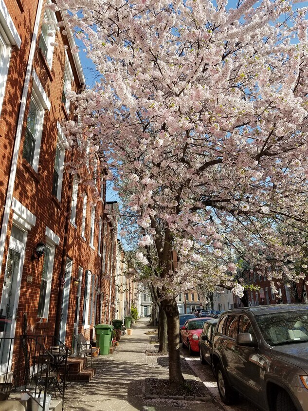 Foto principal - 1102 Battery Ave