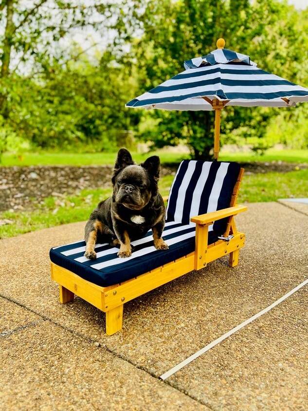 Pet Friendly! - Silver Station Apartment Homes