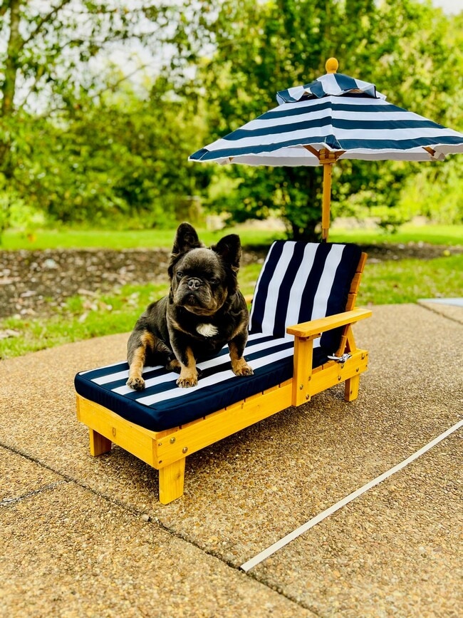 Pet Friendly! - Silver Station Apartment Homes