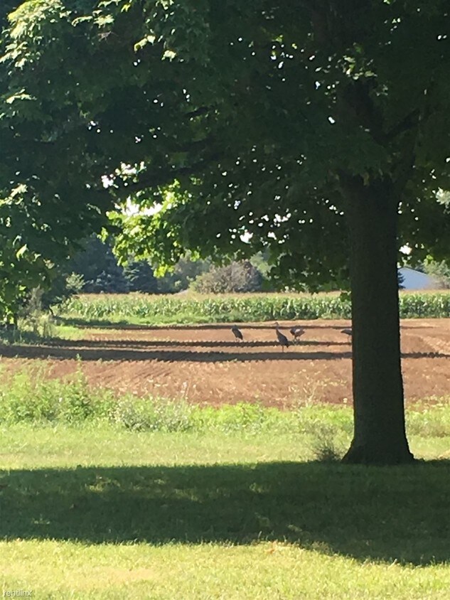 11370 Somerset Rd, Cement City, MI 49233 House Rental in Cement City