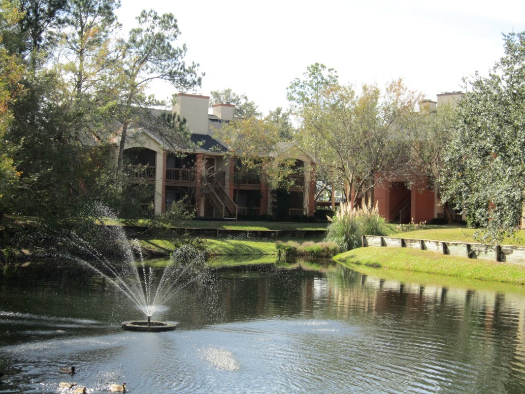 Stonegate Apartments Apartments in Palm Harbor, FL