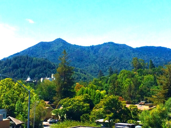 Photo - 770 Sir Francis Drake Blvd Apartment