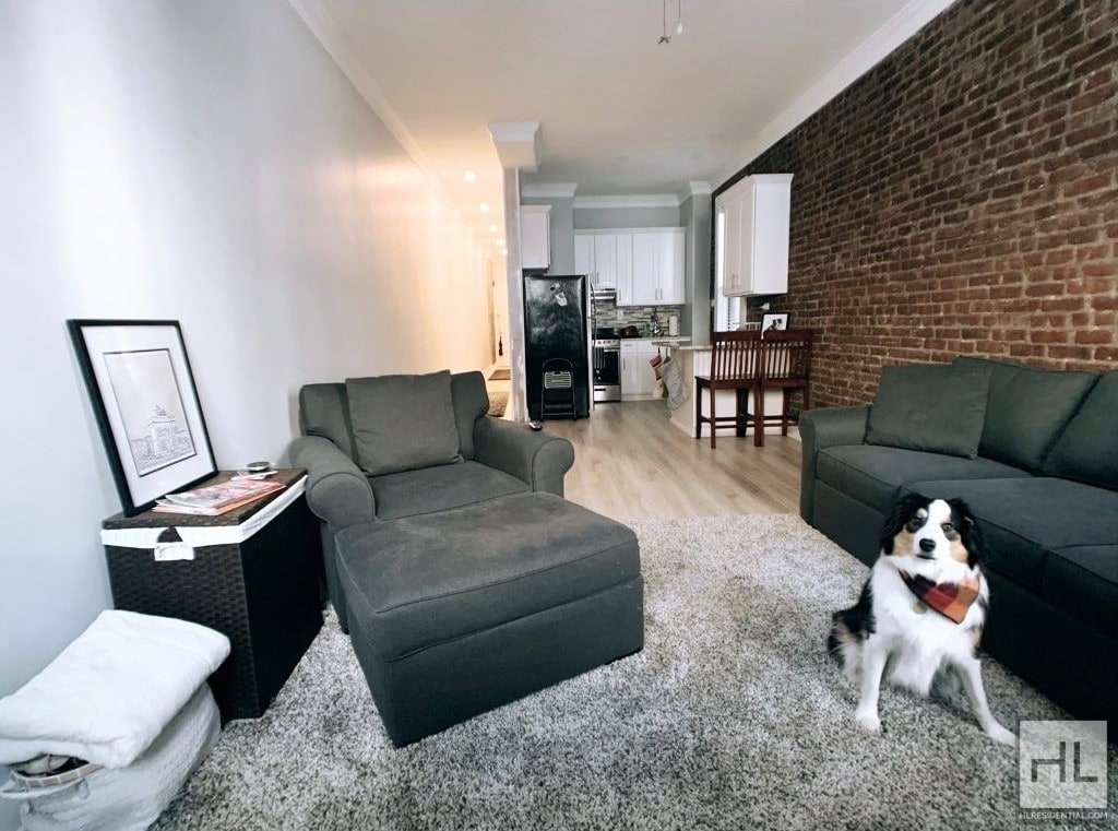 Primary Photo - 1-bdrm w/yard and minutes from prospect park