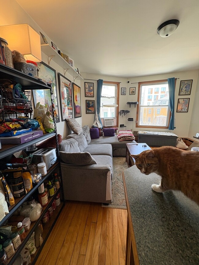 Photo - 1802 Massachusetts Ave Apartment