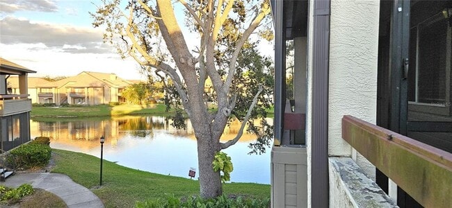 Foto del edificio - 10263 Gandy Blvd N