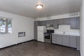 Located at 500 W Hale St in Boise, Idaho, this single-floor unit offers a straightforward, functional layout with consistent wood-look flooring running throughout all areas of the space. The open-concept main area combines the kitchen and living space, providing flexibility in how the room is arranged and used. A window along one wall allows natural light to filter in, offering views of the surrounding greenery outside.

The kitchen is well-equipped with gray cabinetry spanning both upper and lower configurations, a white tile backsplash, a stainless steel range, a white refrigerator, and a single-basin sink with ample counter space. A wall-mounted air conditioning unit provides supplemental climate control in the main living area, complemented by ceiling vents for central airflow.

The bedroom is a separate, enclosed room featuring a ceiling fan, a window for natural light, closet access, and a shiplap-style accent wall that adds subtle texture to the space. The bathroom includes a tub-shower combination with tile surround, a toilet, and a vanity, maintaining the clean and practical aesthetic found throughout the unit. Painted cinder block walls in the entry area contribute to the building's sturdy construction character.