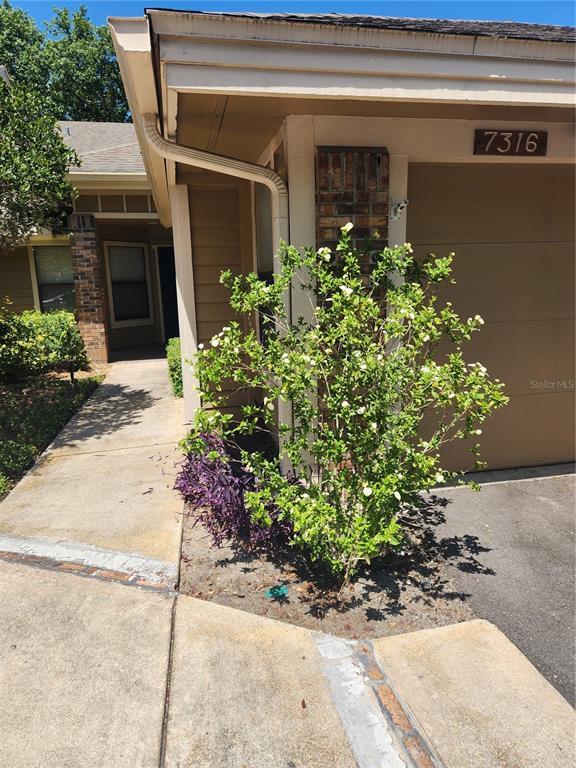 Foto principal - 7316 Della Dr