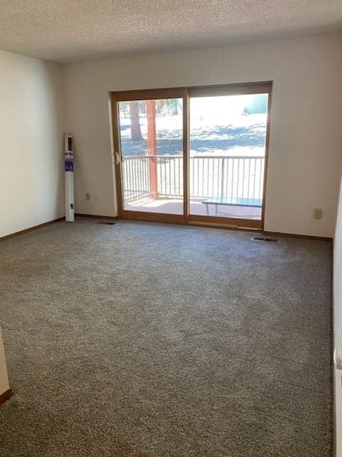 Living Room - 1155 S Saint Vrain Ave