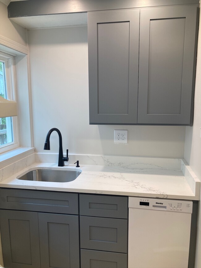 Sunny sink/dishwasher area - 227 E Hector St