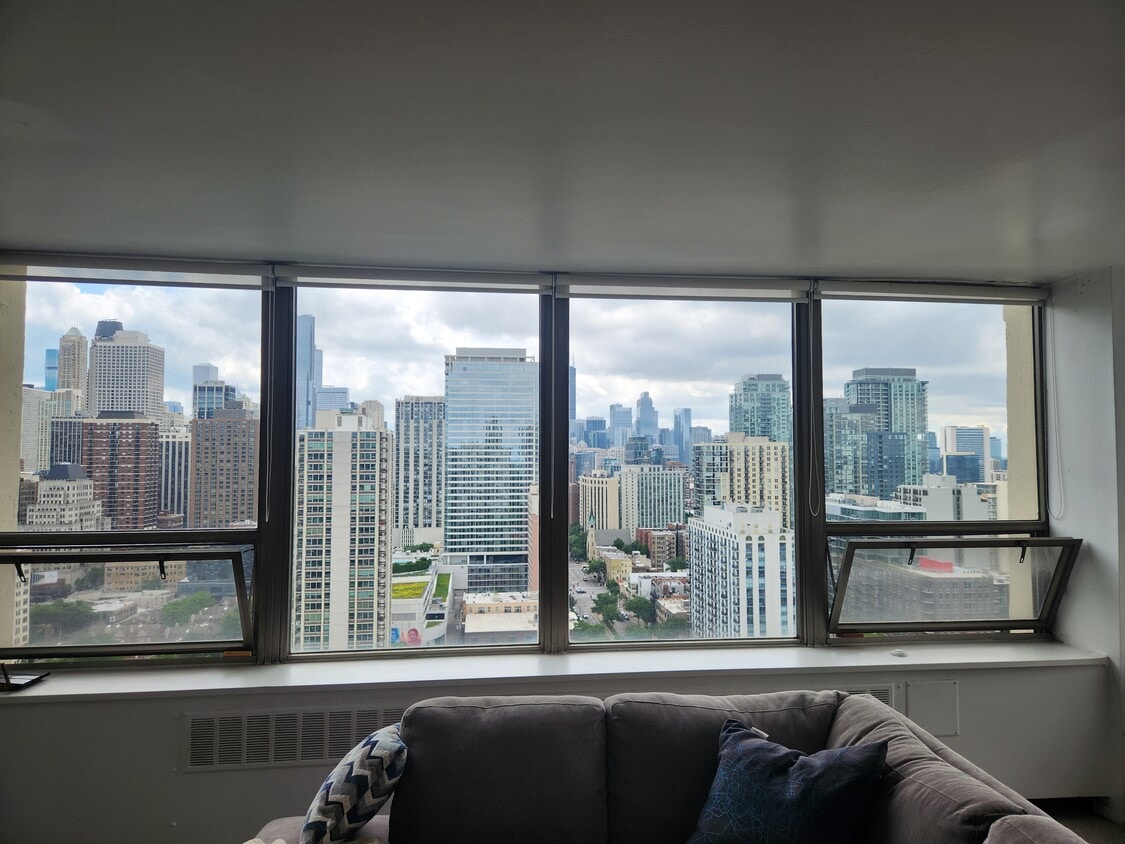 Beautiful Downtown Views - 1360 N Sandburg Terrace