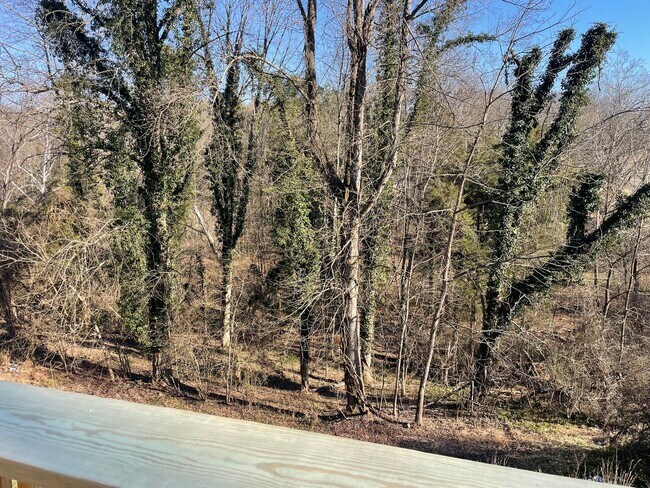 Building Photo - 3 Bedroom 2 Bathroom Home in Kingsport, TN