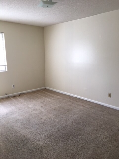 Foto del edificio - 2 Bedroom Apartment.  Walk to VSU.