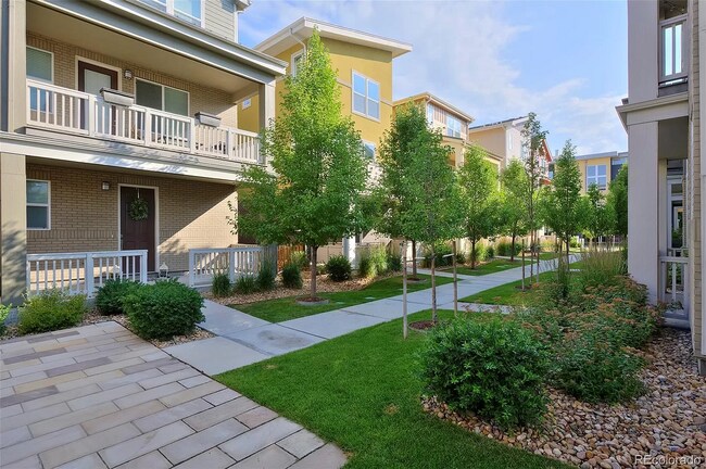 Tree lined courtyard - 65 N Syracuse Ct