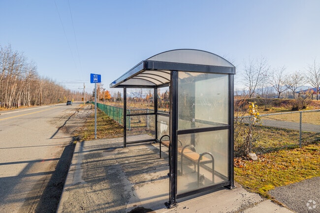 Wasilla is one of the few areas with public transit in the Mat-Su Valley.