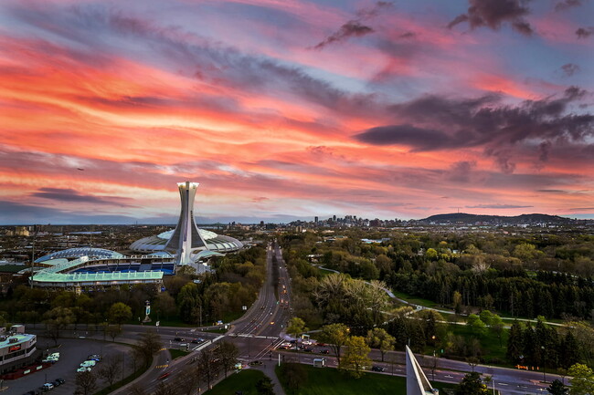 Building Photo - The Olympic Village