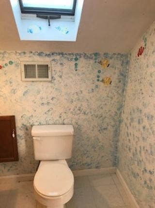 Bathroom2 skylight - 391 Main St
