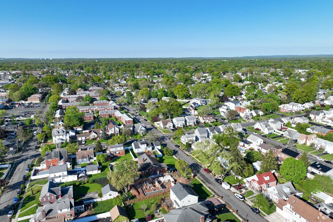 Linden