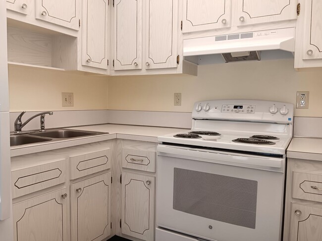 Foto del edificio - Sunny spot in St Pete, close to downtown & all kinds of shopping, dining