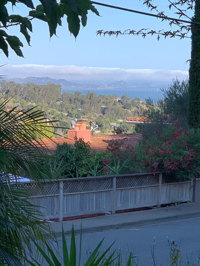 View from the living room - 105 Graceland Dr