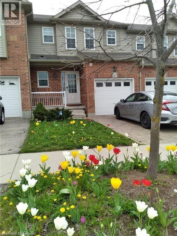 Building Photo - 563 Chablis Dr