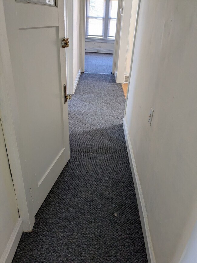 Hall way New Carpet - 228 Elmwood Ave