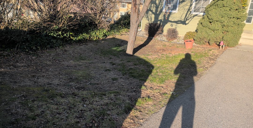 Foto del edificio - 939 N Baker Ave