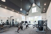 This fitness center offers a comprehensive workout environment designed to accommodate a wide range of exercise routines. The space features soaring ceilings with a striking dark upper accent, creating a modern and energizing atmosphere. Large floor-to-ceiling windows line multiple walls, flooding the interior with natural light and providing views of the surrounding outdoor areas, including what appears to be a pool and landscaped grounds.

The cardio zone is well-appointed with treadmills, elliptical trainers, and rowing machines, all positioned to take advantage of the outdoor views. A dedicated cycling area features stationary spin bikes equipped with digital displays. Strength training is thoroughly covered with a cable pulley machine, a multi-function weight station, a full rack of dumbbells, a punching bag with stand, and a variety of stability and exercise balls for functional training.

Full-length mirrors along one wall visually expand the space and support proper form during workouts. The flooring consists of durable, textured carpet tiles suited for gym use. Pendant lighting supplements the natural light, and wall-mounted televisions provide entertainment. The facility is accessible via glass-panel entry doors and maintains a clean, organized layout throughout.