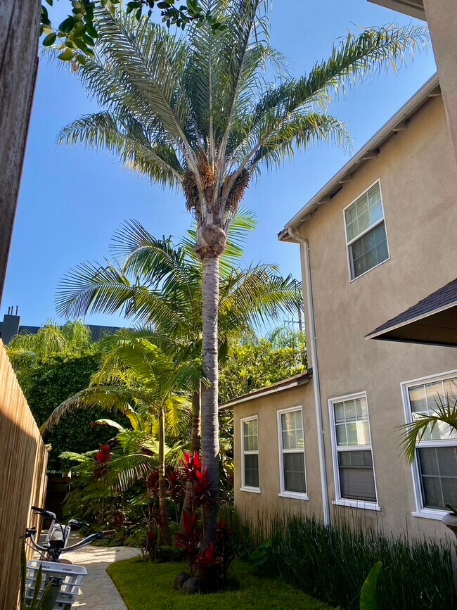 Foto del edificio - 11647 Ayres Ave