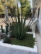 Foto principal - 4600 Coldwater Canyon Ave
