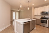 Located at 222 S Main St in Mooresville, NC, this well-designed one-bedroom, one-bathroom unit offers a thoughtfully arranged single-floor layout. The open-concept kitchen and living area serves as the heart of the home, showcasing a large central island with a built-in sink and pendant lighting overhead. The kitchen is equipped with stainless steel appliances — including a refrigerator, range, and microwave — complemented by a two-tone cabinetry design featuring white upper cabinets and warm wood-toned lower cabinets with clean white countertops. Light wood-style flooring flows consistently throughout the entire unit, enhancing the bright, cohesive aesthetic. The living area benefits from natural light, with French doors providing access to an outdoor space. The spacious primary bedroom includes a ceiling fan, a window for natural light, and direct access to a dedicated closet with built-in shelving. The full bathroom is finished with a wood-toned vanity, white countertop, and a tub-shower combination with white tile surround and brushed nickel fixtures. Neutral warm-gray wall tones throughout the unit create a clean, move-in-ready atmosphere suitable for a variety of interior styles.