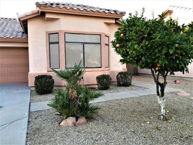 1425 S Lindsay Rd, Mesa, AZ 85204 - House for Rent in Mesa, AZ