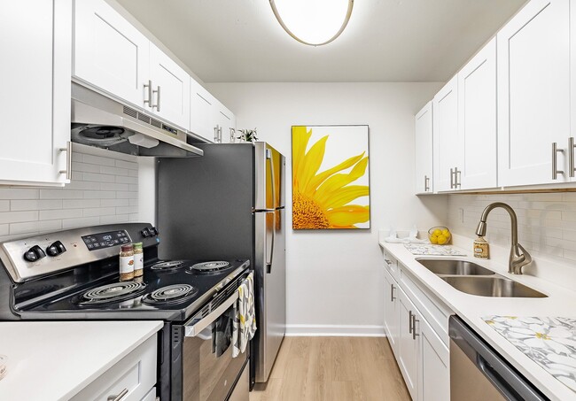 Building Photo - Waterview at Rocky Point Apartments