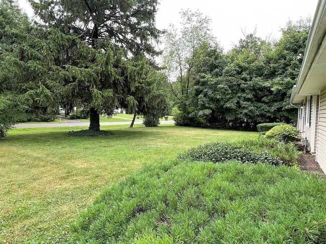 Building Photo - 2526 Amelia Dr