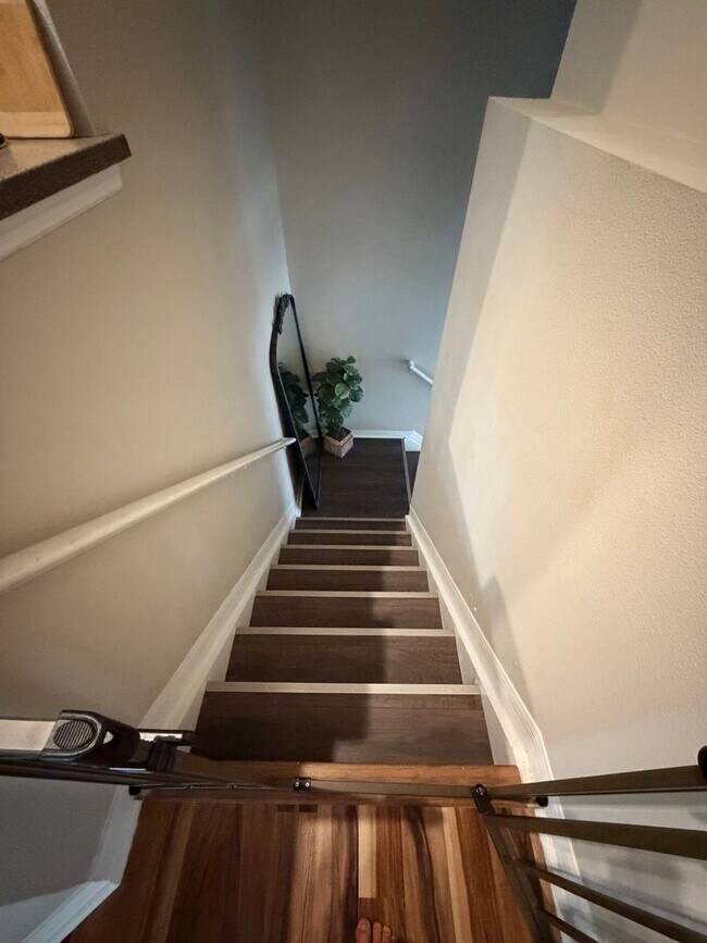 Foto del edificio - 2319 Tanbark Ridge Pl
