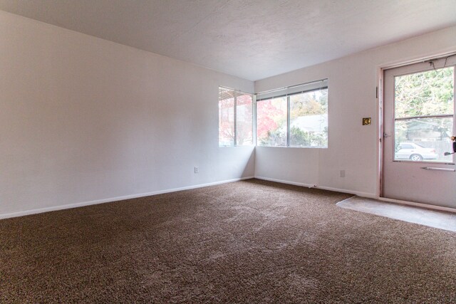 Foto del edificio - Great 1-Bedroom, 1-Bath Duplex With Large Bonus Room!