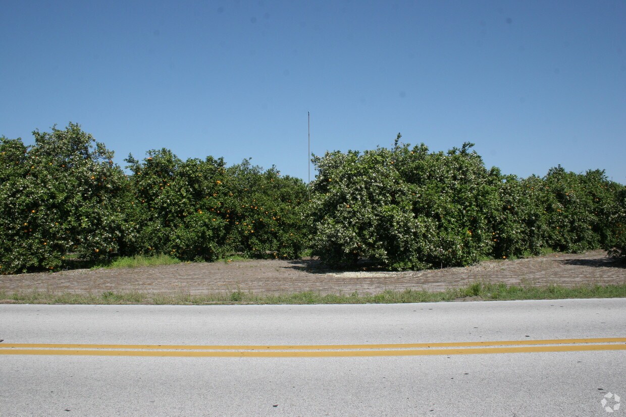 Primary Photo - Shady Oaks Apartments